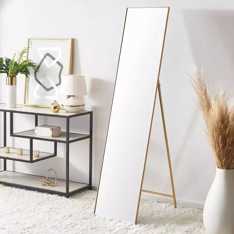 16x69 Tall Narrow Decorative Wall Mirror with Elegant Frame