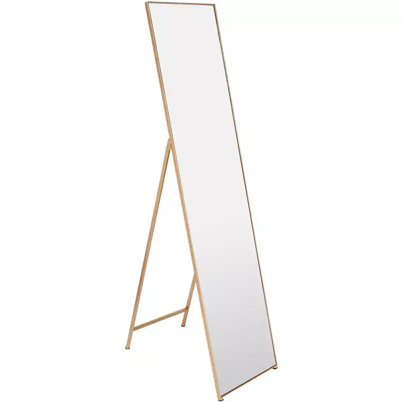 16x69 Tall Narrow Decorative Wall Mirror with Elegant Frame
