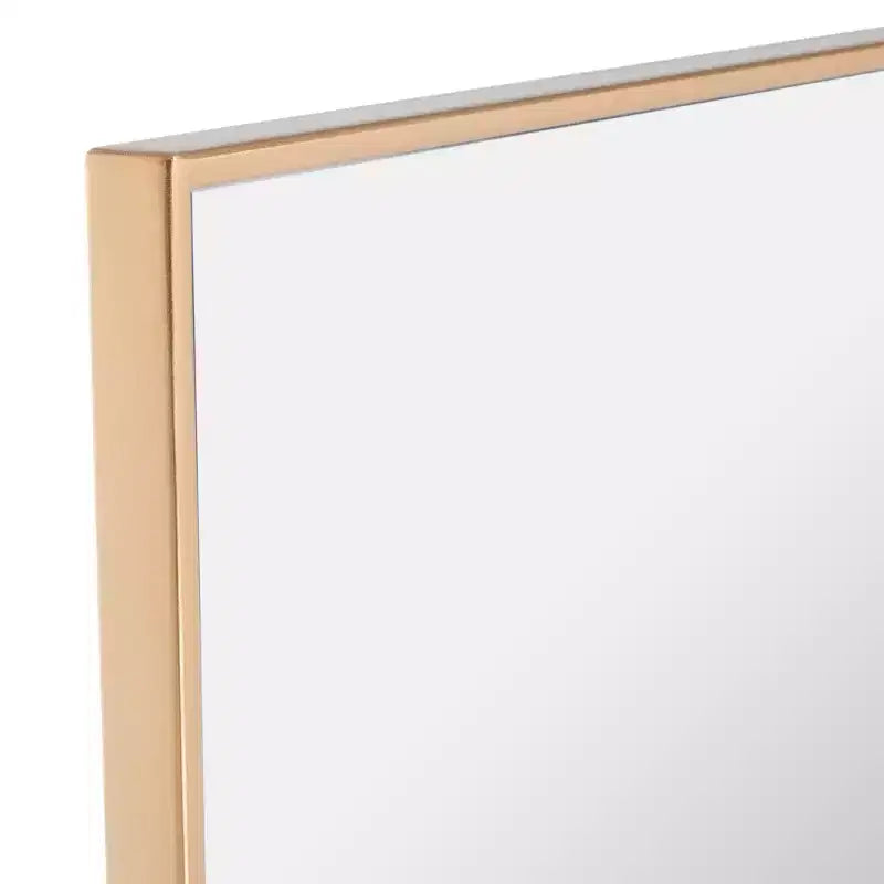 Specchio da parete decorativo alto e stretto 16x69 con cornice elegante